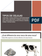 Tipos de Células