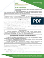 10 Cultivo Do Abacaxi em Consorcios PDF