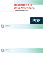 Introducción A La Anestesia Veterinaria