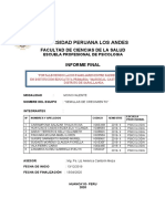 Modelo de Informe Final Incompleto 18