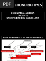 Def. Quimeras