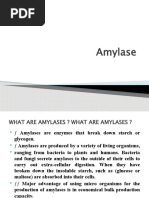 Amylase