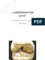 Pemeriksaan Fisik Lutut