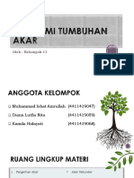 Anatomi Akar PDF