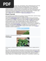 Phases of Growth: Scotland Aphid Hjuito Virus Pathogens