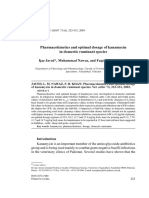 Pharmacokinetics and Optimal Dosage of Kanamycin in Domestic Ruminant Species