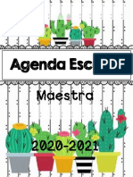 Agenda Cactus-Aprende Con Idaly PDF