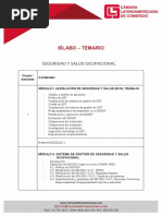 Silabo Seguridad y Salud Ocupacional