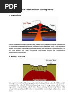 Jenis Gunung Berapi