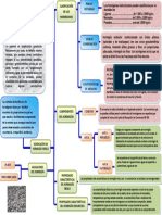 Mapa Conceptual de Los Hormigones