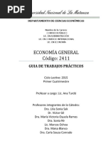 Guia Practica Economia Gral