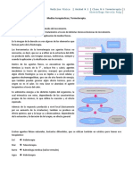 Clase 5 Termoterapia