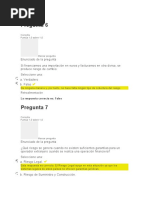 Examen Final 2 Pago y Riegos Internacionales