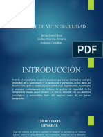 Presentacion ANALISIS VULNERABILIDADES