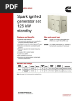 Spark Ignited Generator Set 125 KW Standby: Specification Sheet