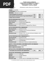 Amparo Final Con Prueba y Formulario