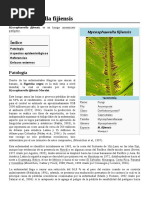 Mycosphaerella Fijiensis