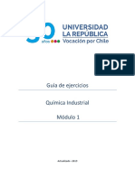 Guia de Ejercicios Módulo 1 Quimica Industrial