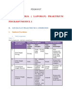 Lembar Kerja Laporan Praktikum Ipa SD PD