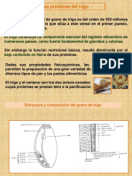 Proteinas de Trigo PDF