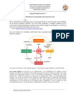 Guia 11 Identificación Macroscópica de Los Tipos de Rocas PDF