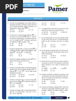 Seminario Geometria PDF