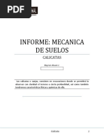 Informe Calicata 1