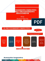 El Procedimiento Instructivo Sancionador