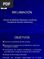 Cap. 2 INFLAMACION