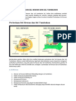 Perbedaan Sel Hewan Dan Sel Tumbuhan