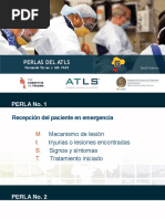 Perlas Atls 10 Ed Seguro PDF