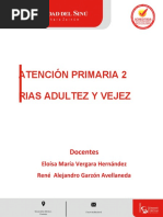 Modulo 1. Rias Adultez y Vejez