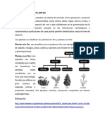 Clasificación de Plantas