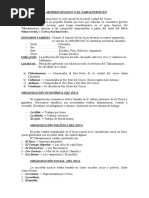 PDF Documento