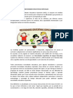 Necesidades Educativas Especiales