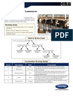 Assessing Cattle Lameness