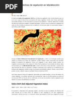 Análisis de Índices de Vegetación en Teledetección, Notas