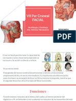 VII Par Craneal FACIAL PDF