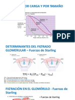 Fisiología Renal - Dover Clases-3