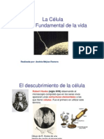 Celula 3 PDF