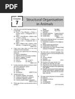 Structural Organization in Animals