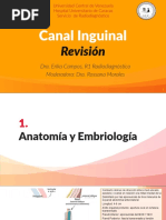 Canal Inguinal Kita