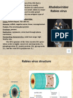 Rhabdoviridae: Rabies Virus