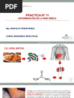 Clase Grabada de Urea