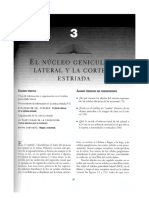 Capitulo 3 Elnucleo Genicaulado Lateral PDF