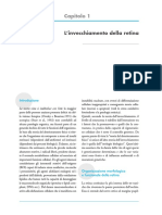 Capitolo 1. L Invecchiamento Della Retina. Introduzione. Organizzazione Morfologica e Funzionale Della Retina PDF