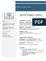 CV Jesus Rubio Lopez