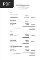 Caso Practico - Auditoria de Activo Fijo - Intangibles