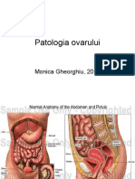 Patologia Ovarului