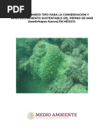 Plan de Manejo Pepino Actualizaci N 2019 PDF